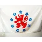 Drapeau Communauté germanophone de Belgique 150x90 cm Polyester 100D Fourreau pour hampe