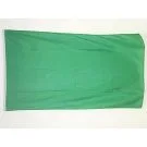 Drapeau Unicolore Vert 150x90 cm Polyester 100D Oeillets métalliques