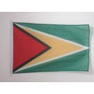 Drapeau Guyana 150x90 cm | Drapeau guyanien Usage Extérieur Anneaux Plastiques