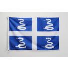 Drapeau Martinique 90x60 cm | Drapeau martiniquais Usage Extérieur Anneaux Plastiques