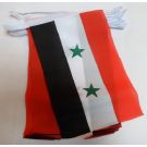 Guirlande Drapeau Syrie 6 mètres | 20 drapeaux 21x15 cm