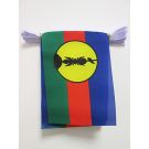 Guirlande Drapeau Nouvelle Calédonie 6 mètres | 20 drapeaux 21x15 cm