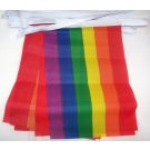 Guirlande Drapeau Arc-en-Ciel 6 mètres | 20 drapeaux 21x15 cm