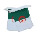 Guirlande Drapeau Algérie 6 mètres | 20 drapeaux 21x15 cm