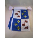 Guirlande Drapeau Picardie 6 mètres | 20 drapeaux 21x15 cm