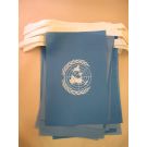 Guirlande Drapeau ONU 6 mètres | 20 drapeaux 21x15 cm