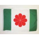 Drapeau Taïwan indépendantiste 45x30 cm Polyester 100D Cordelettes