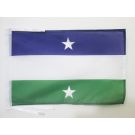 Drapeau Royaume d'Araucanie et de Patagonie 45x30 cm Polyester 100D Cordelettes