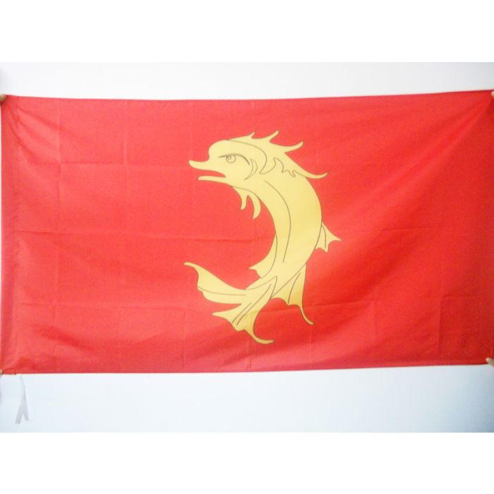 DRAPEAU COMTÍ? DE FOREZ 150x90cm - DRAPEAU FORÍ?ZIEN - SAINT-ETIENNE 90 x 150 cm Fourreau pour hampe