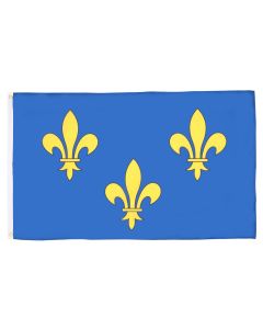DRAPEAU FLEUR DE LYS BLEU ET OR 150x90cm - DRAPEAU ROYAUME DE FRANCE 90 x 150 cm - DRAPEAUX
