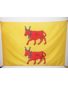 DRAPEAU PROVINCE DU BÍ?ARN 150x90cm - DRAPEAU PYRÍ?NÍ?ES-ATLANTIQUES - FRANCE 90 x 150 cm Fourreau pour hampe