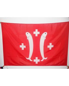 DRAPEAU PRINCIPAUTÍ? DE SALM-SALM 150x90cm - DRAPEAU COMTÍ? DE SALM - FRANCE 90 x 150 cm Fourreau pour hampe