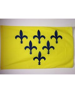 DRAPEAU DUCHÍ? DE PARME 1545-1731 150x90cm - DRAPEAU ITALIEN ANCIEN - ITALIE 90 x 150 cm Fourreau pour hampe