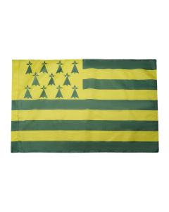DRAPEAU BRETAGNE MELEN HA GWER 150x90cm - DRAPEAU BRETON JAUNE ET VERT - NANTES 90 x 150 cm Fourreau pour hampe
