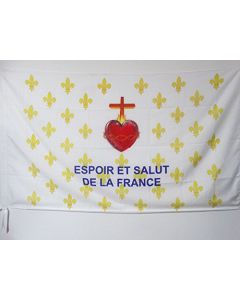 DRAPEAU FLEUR DE LYS OR ESF 150x90cm - DRAPEAU ROYALISTE ESPOIR ET SALUT DE LA FRANCE 90 x 150 cm Fourreau pour hampe