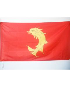 DRAPEAU COMTÍ? DE FOREZ 150x90cm - DRAPEAU FORÍ?ZIEN - SAINT-ETIENNE 90 x 150 cm Fourreau pour hampe