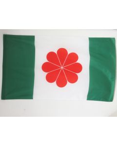 DRAPEAU TAÏWAN INDÍ?PENDANTISTE 150x90cm - DRAPEAU TAÏWANAIS NATIONALISTE 90 x 150 cm Fourreau pour hampe