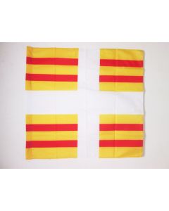 DRAPEAU ORDONNANCE DU RÍ?GIMENT DE BÍ?ARN 1684-1762 90x90cm - DRAPEAU BALAGNY 90 x 90 cm Fourreau pour hampe