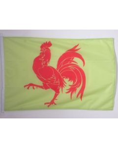 DRAPEAU WALLONIE 90x60cm - DRAPEAU WALLON - BELGIQUE 60 x 90 cm Spécial Extérieur - DRAPEAUX