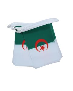 GUIRLANDE 6 mètres 20 DRAPEAUX ALGÉRIE 21x15 cm - DRAPEAU ALGÉRIEN 15 x 21 cm