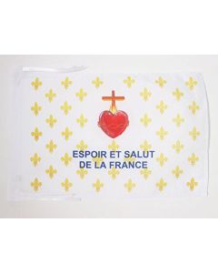 DRAPEAU ARMOIRIES FRANCE 3ÈME RÉPUBLIQUE 45x30cm - PAVILLON FRANÇAIS EMBLÈME 1898 30 x 45 cm haute qualité