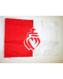 DRAPEAU DÉPARTEMENT DE LA VENDÉE 45x30cm - PAVILLON C?UR VENDÉEN 30 x 45 cm haute qualité