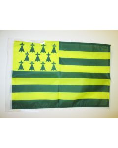 DRAPEAU BRETAGNE MELEN HA GWER 45x30cm - PAVILLON BRETON JAUNE ET VERT - NANTES 30 x 45 cm haute qualité