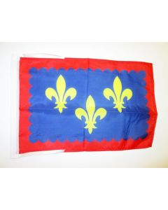 DRAPEAU PROVINCE DU BERRY 45x30cm - PAVILLON BERRI - FRANCE 30 x 45 cm haute qualité