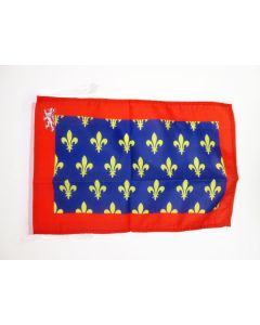 DRAPEAU COMTÉ DU MAINE 45x30cm - PAVILLON PROVINCE MAINE ET PERCHE - FRANCE 30 x 45 cm haute qualité
