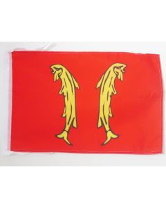 DRAPEAU PRINCIPAUTÉ DE MONTBÉLIARD 45x30cm - PAVILLON DE MONTBÉLIARD 30 x 45 cm haute qualité
