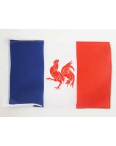 DRAPEAU MOUVEMENT WALLONIE FRANÇAISE 45x30cm - PAVILLON WALLON FRANÇAIS 30 x 45 cm haute qualité