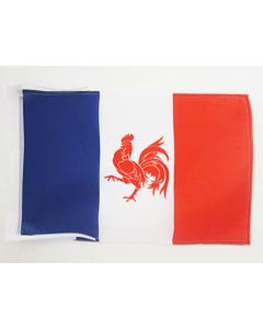 DRAPEAU MOUVEMENT WALLONIE FRANÇAISE 45x30cm - PAVILLON WALLON FRANÇAIS 30 x 45 cm haute qualité