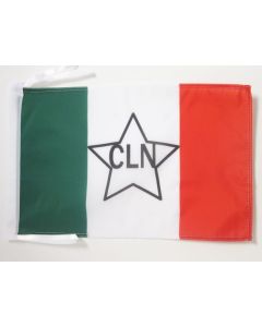 DRAPEAU ITALIE COMITÉ DE LIBÉRATION NATIONAL 45x30cm - PAVILLON ITALIEN RÉSISTANCE - CLN 30 x 45 cm haute qualité