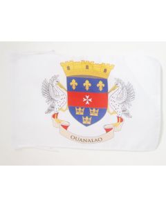 DRAPEAU SAINT-BARTHÉLEMY 45x30cm - PAVILLON DE SAINT BARTHÉLÉMY - FRANCE 30 x 45 cm haute qualité