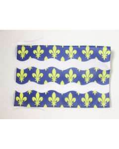 DRAPEAU SEINE-ET-MARNE 45x30cm - PAVILLON DÉPARTEMENT FRANÇAIS - ÎLE-DE-FRANCE 30 x 45 cm haute qualité
