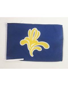 DRAPEAU BRUXELLES CAPITALE 45x30cm - PAVILLON BRUXELLOIS 30 x 45 cm haute qualité