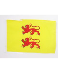 DRAPEAU COMTÉ DE BIGORRE 45x30cm - PAVILLON DUCHÉ DE GASCOGNE 30 x 45 cm haute qualité