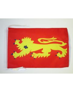 DRAPEAU AVEYRON 45x30cm - PAVILLON DÉPARTEMENT AVEYRONAIS 30 x 45 cm haute qualité