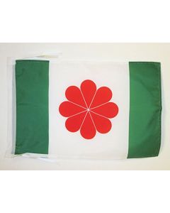 DRAPEAU TAÏWAN INDÉPENDANTISTE 45x30cm - PAVILLON TAÏWANAIS NATIONALISTE 30 x 45 cm haute qualité