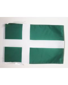 DRAPEAU PORTO RICO INDÉPENDANTISTE 45x30cm - PAVILLON DU PARTI INDÉPENDANTISTE PORTORICAIN 30 x 45 cm haute qualité