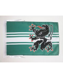 DRAPEAU PROVINCE DE FLANDRE ORIENTALE 45x30cm - PAVILLON DE OOST-VLAANDEREN 30 x 45 cm haute qualité