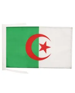 DRAPEAU ALGÉRIE 45x30cm - PAVILLON ALGÉRIEN 30 x 45 cm haute qualité