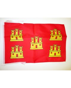 DRAPEAU POITOU-CHARENTES 45x30cm - PAVILLON PROVINCE DU POITOU - FRANCE 30 x 45 cm haute qualité