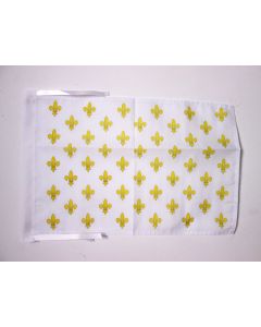 DRAPEAU FLEUR DE LYS BLANC ET OR 45x30cm - PAVILLON ROYAL FRANÇAIS 30 x 45 cm haute qualité