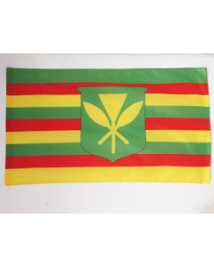 DRAPEAU HAWAII KANAKA MAOLI 90x60cm - DRAPEAU HAWAÏEN KANAK 60 x 90 cm Fourreau pour hampe