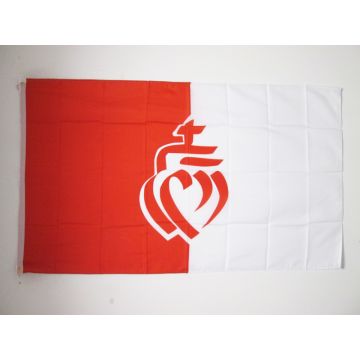 DRAPEAU DÉPARTEMENT DE LA VENDÉE 150x90cm - DRAPEAU C?UR VENDÉEN 90 x 150 cm - DRAPEAUX