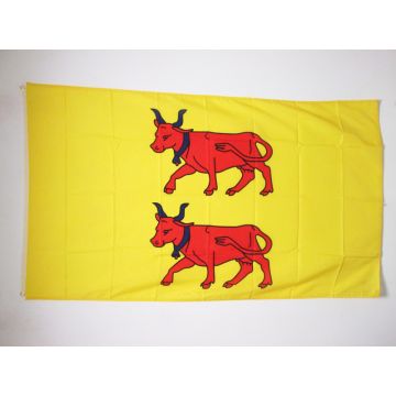 DRAPEAU PROVINCE DU BÉARN 150x90cm - DRAPEAU PYRÉNÉES-ATLANTIQUES - FRANCE 90 x 150 cm - DRAPEAUX