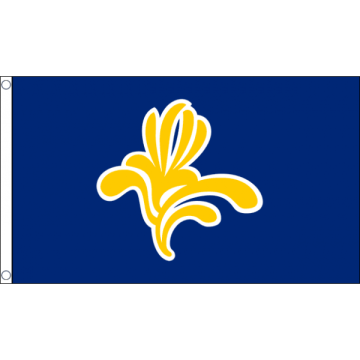 DRAPEAU BRUXELLES CAPITALE 150x90cm - DRAPEAU BRUXELLOIS 90 x 150 cm - DRAPEAUX