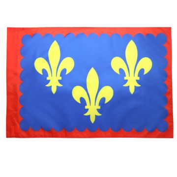 DRAPEAU PROVINCE DU BERRY 150x90cm - DRAPEAU BERRI - FRANCE 90 x 150 cm Fourreau pour hampe