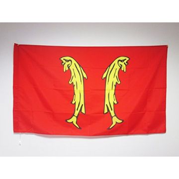 DRAPEAU PRINCIPAUTÍ? DE MONTBÍ?LIARD 150x90cm - DRAPEAU DE MONTBÍ?LIARD 90 x 150 cm Fourreau pour hampe